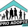 Vente Local commercial Saint-pierre 97410 66 m2
