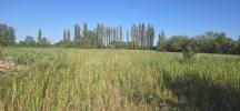 Vente Terrain Narbonne 11100 6115 m2
