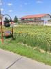 Vente Terrain Viriville  38980 450 m2