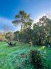 Vente Terrain Teste-de-buch 33260 1000 m2