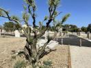 Vente Terrain Vedene  84270 267 m2