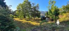 Vente Terrain Cheylard 07160 1001 m2