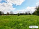 Vente Terrain Nohant-en-gout 18390 1604 m2