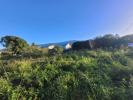 Vente Terrain Riviere-saint-louis 97421 501 m2