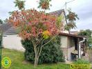 Vente Maison Issoudun 36100 4 pieces 80 m2
