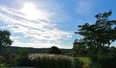 Vente Terrain Ploermel 56800 600 m2