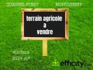 Vente Terrain Montsinery-tonnegrande 97300 3274 m2