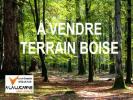 Vente Terrain Peaule 56130 3234 m2