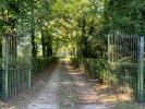 Vente Maison Marssac-sur-tarn 81150 12 pieces 450 m2