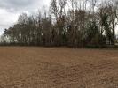 Vente Terrain Bassillac 24330 1000 m2