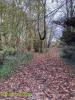 Vente Terrain Boissy-le-chatel COULOMMIERS 77169 3100 m2