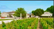 Vente Domaine agricole Saint-sauveur 33250 10 pieces 32767 m2