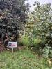 Vente Terrain Aiguillon-sur-vie 85220 350 m2