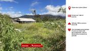 Vente Terrain Plaine-des-cafres 97418 1000 m2