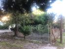 Vente Maison Avignon 84000 3 pieces 60 m2
