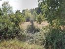 Vente Terrain Sainte-pazanne 44680 400 m2
