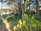 Vente Terrain Laudun 30290 1038 m2