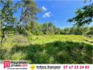 Vente Terrain Romorantin-lanthenay  41200 6550 m2
