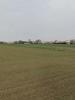 Vente Terrain Villedoux 17230 447 m2