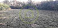 Vente Terrain Offrethun 62250 4900 m2