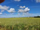 Vente Terrain Angliers 86330