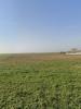 Vente Terrain Andilly 17230 386 m2