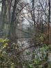 Vente Terrain Marles-sur-canche 62170 5090 m2