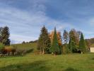 Vente Terrain Laval 38190 559 m2