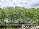 Location Appartement Creteil 94000 3 pieces 60 m2
