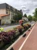 Location Appartement Saint-maurice 94410 3 pieces 52 m2