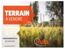 Vente Terrain Douvrin 62138 984 m2