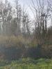 Vente Terrain Marles-sur-canche 62170 5090 m2