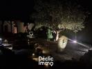 Vente Maison Aubigny 85430 6 pieces 157 m2