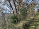 Vente Domaine forestier Saint-pierre-de-clairac 47270 32767 m2