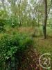 Vente Terrain Queyrac 33340 2147 m2