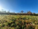 Vente Terrain Landiras 33720 730 m2