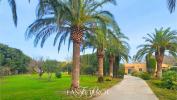 Vente Maison Saint-cyprien 66750 6 pieces 220 m2