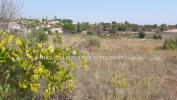 Vente Terrain Nezignan-l'eveque  34120 10440 m2