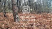 Vente Domaine forestier Saint-martin 56200 7803 m2