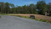 Vente Terrain Desertines 03630 1276 m2