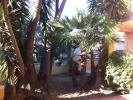 Location Appartement Cannet 06110 2 pieces 53 m2