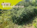 Vente Terrain Montrevel-en-bresse 01340 1196 m2