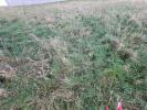 Vente Terrain Vernon 27200 916 m2