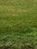 Vente Terrain Beaulieu-les-fontaines 60310 2110 m2