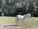 Vente Maison Motte-d'aigues 84240 6 pieces 121 m2