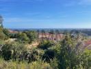 Vente Terrain Folelli 20213