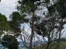 Vente Terrain Castellet  83330 2 pieces 200 m2