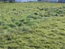 Vente Terrain Epreville 76400 1600 m2