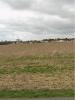 Vente Terrain Jarne 17220 335 m2