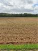 Vente Terrain Benon VILLEDOUX 17170 468 m2